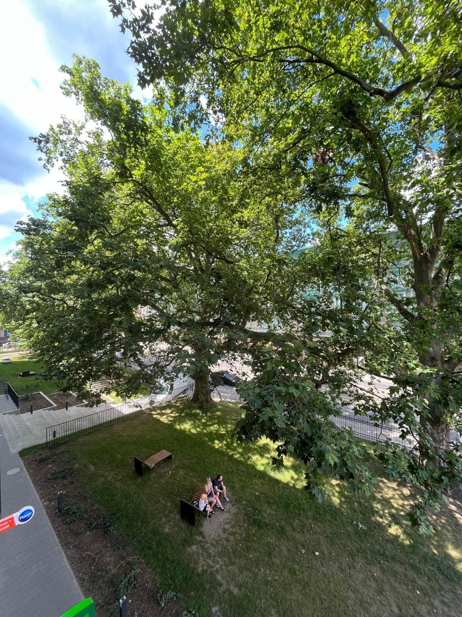 Komfort Z Balkonem W Centrum Вроцлав Экстерьер фото